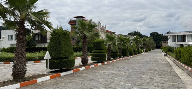 زمین شمال