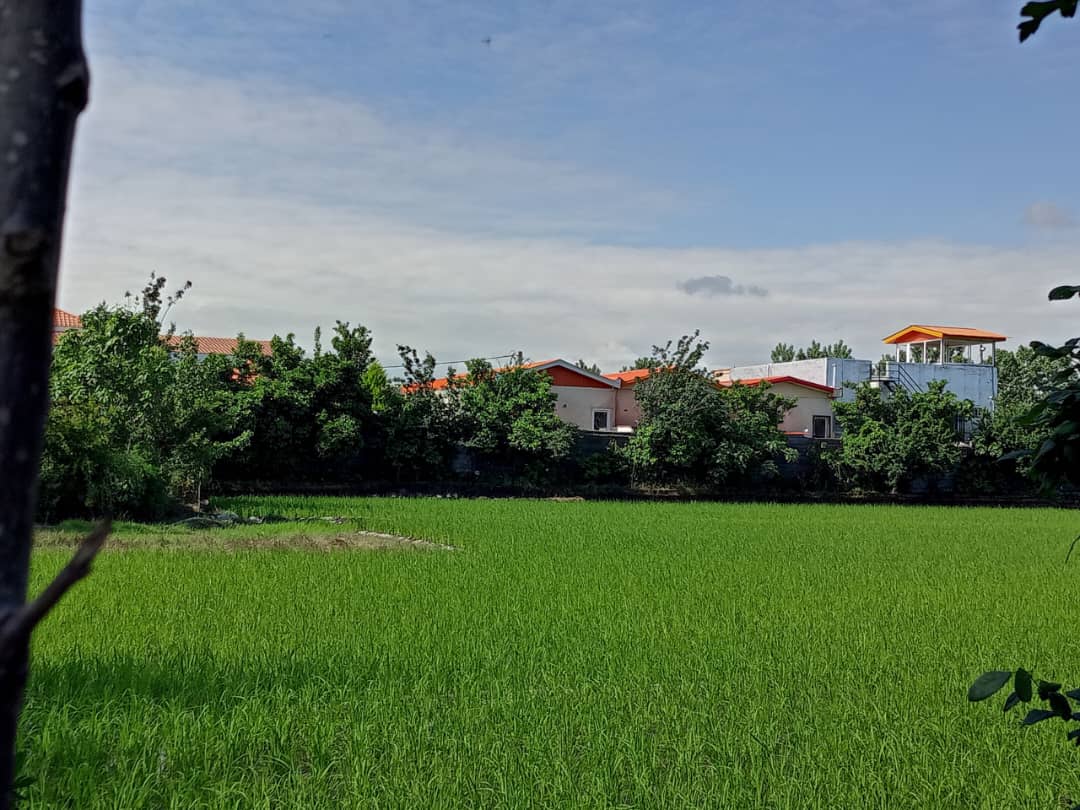 زمین کشاورزی
