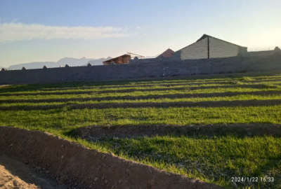 فروش زمین بابل