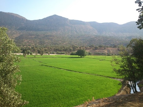  زمین کشاورزی ارزان