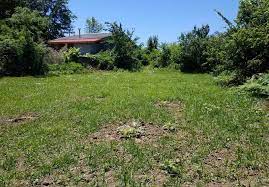 زمین مسکونی شمال